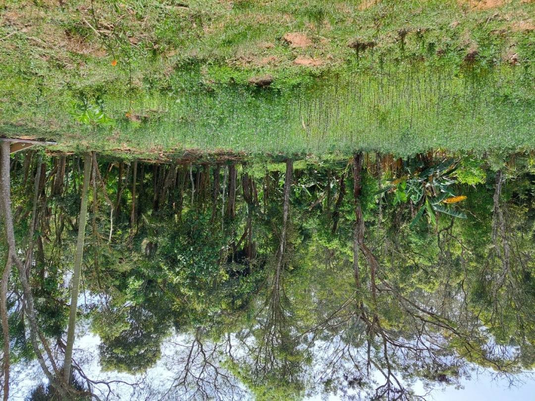 Área à venda, 5860 m² por R$ 1.450.000,00 - Capuava - Cotia/SP — foto 10 de 15