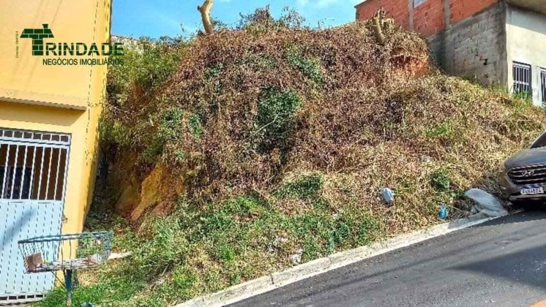 Terreno à venda, 165 m² por R$ 125.000,00 - Centro (Cotia) - Cotia/SP — foto 2 de 4